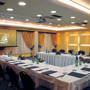 ne_5c9e-hermes-conference-room.jpg