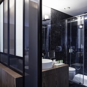 ne_Superior-Deluxe-Suite-Deluxe-Room-Bath-2-2.jpg