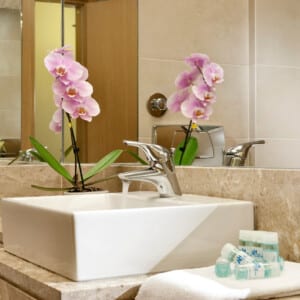 ne_a640-bathroom-achilleas.jpg