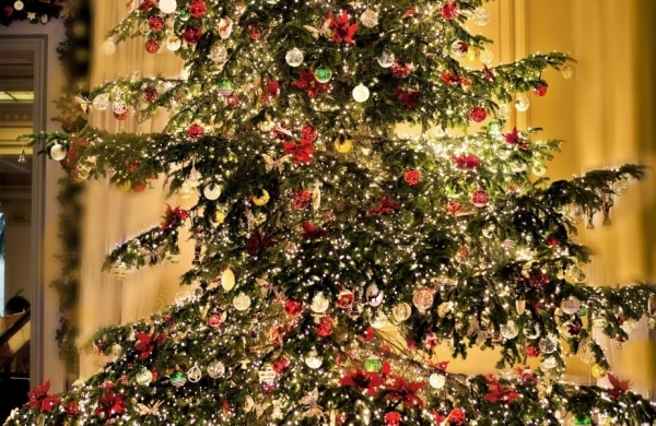 ne_17cd-grande_bretagne_christmas_tree2017.jpg