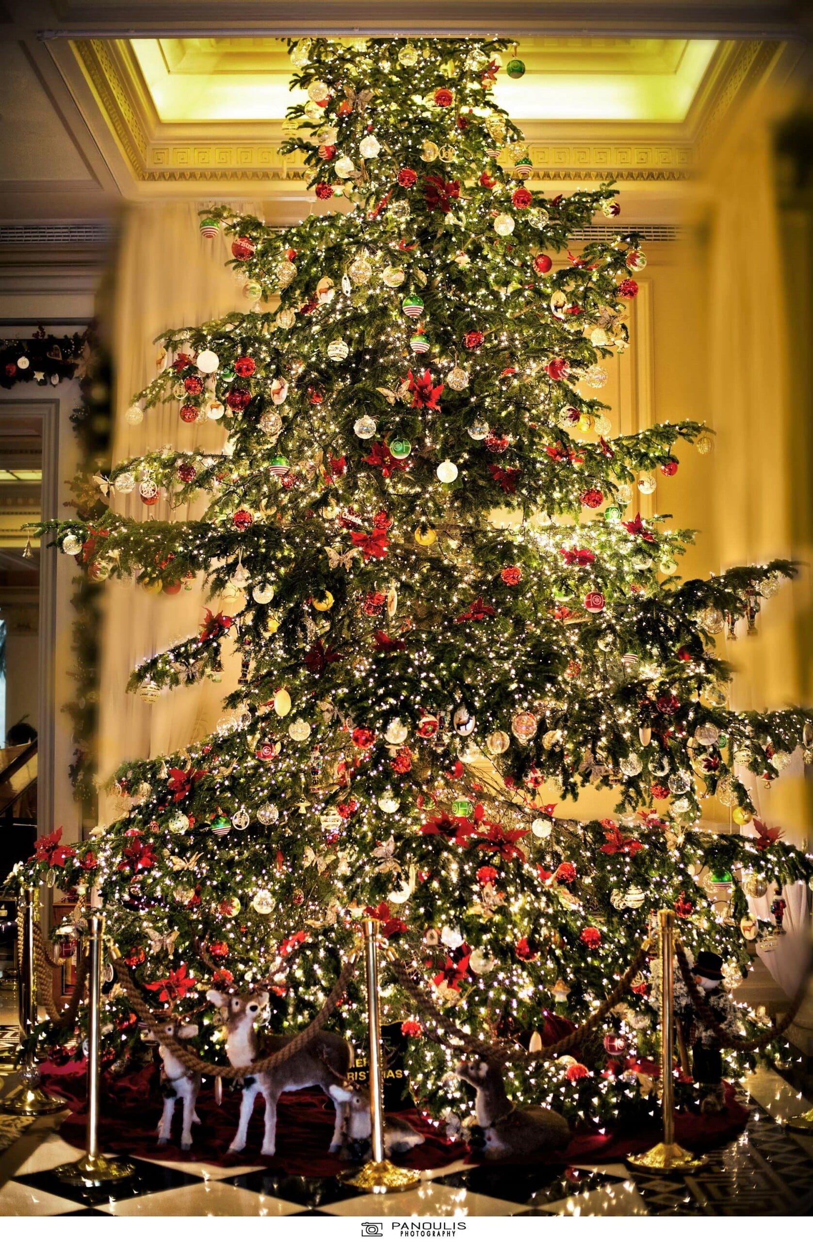 ne_grande_bretagne_christmas_tree2017-1.jpg